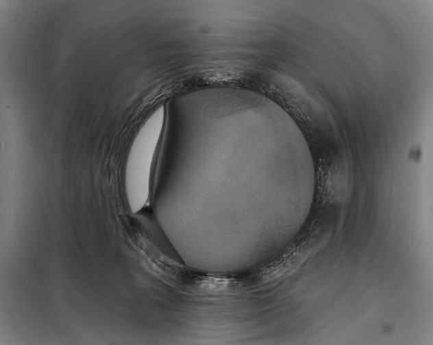 X0000097910227200804041508