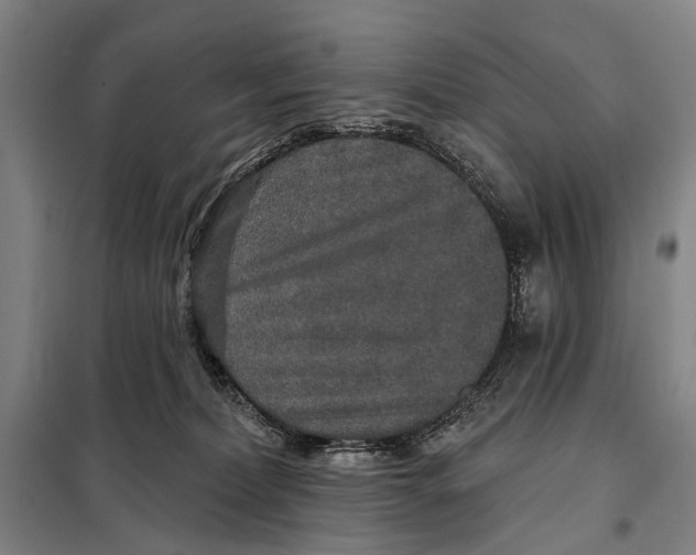 X0000097910228200804041508