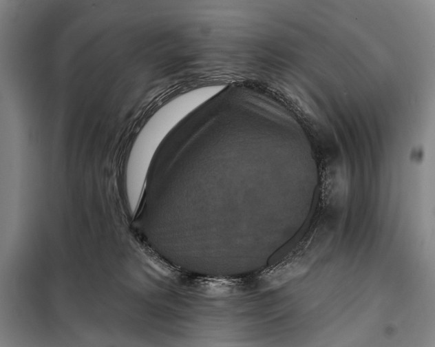 X0000097910229200804041508