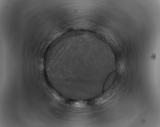 X0000097910232200804041508