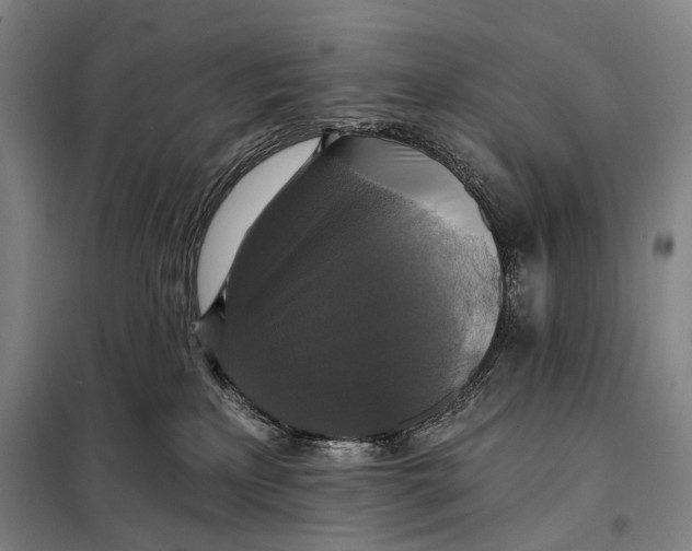 X0000097910233200804041508