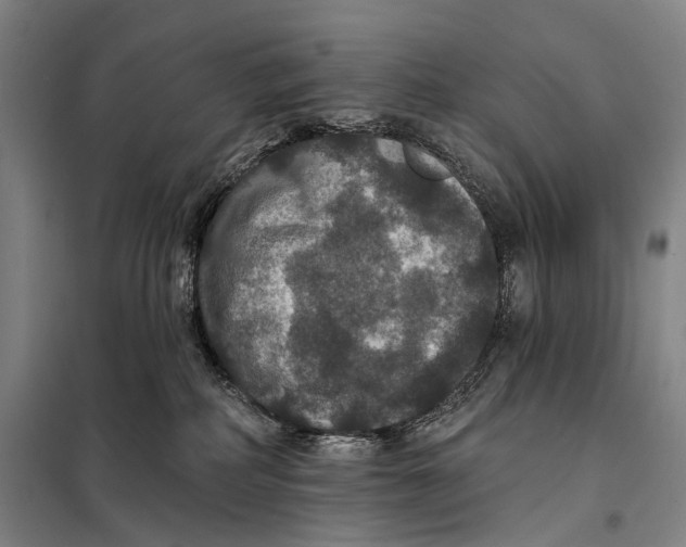 X0000097910234200804041508