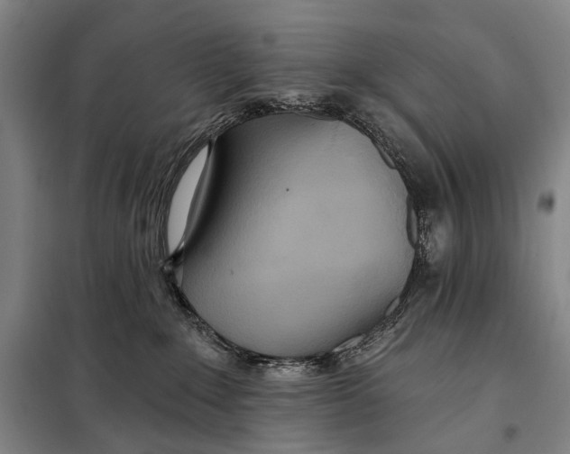 X0000097910235200804041508