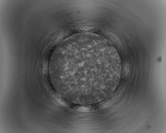 X0000097910236200804041508