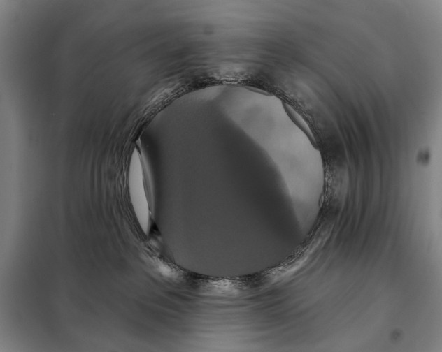 X0000097910237200804041508