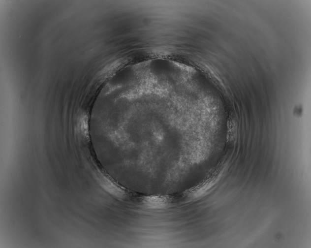 X0000097910238200804041508