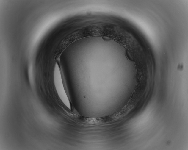 X0000097910239200804041508