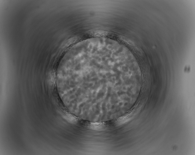 X0000097910240200804041508