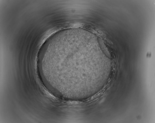 X0000097910242200804041507