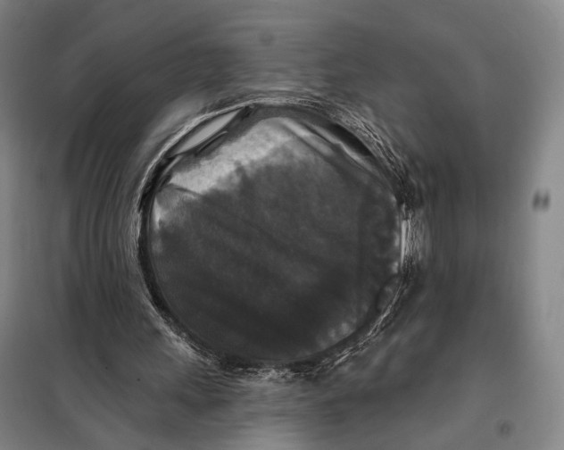 X0000097910243200804041507