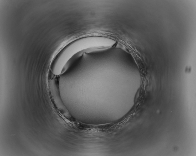 X0000097910244200804041507