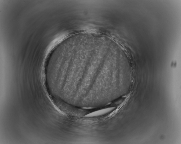 X0000097910245200804041507