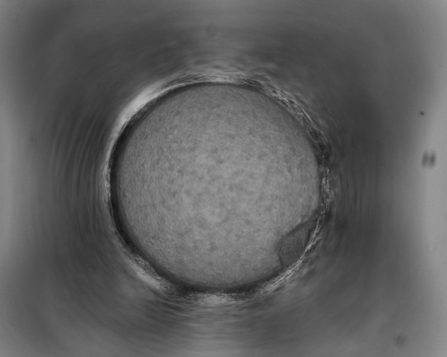 X0000097910246200804041507