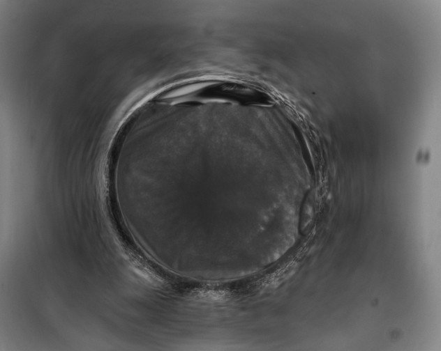 X0000097910247200804041507