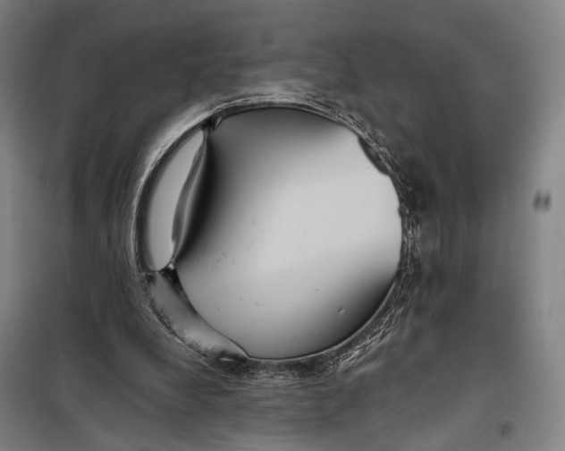 X0000097910248200804041507