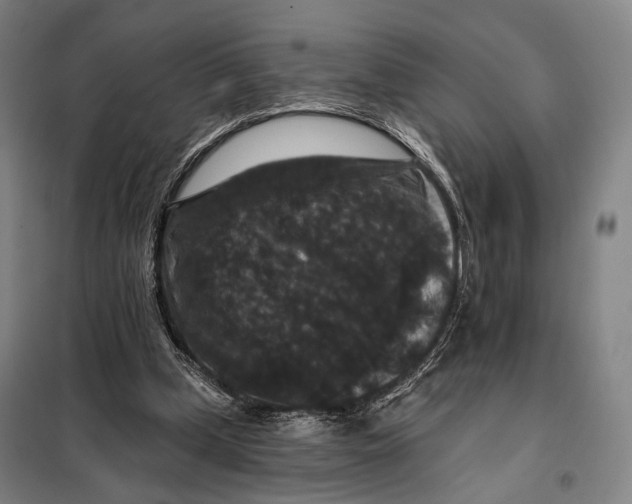 X0000097910249200804041507