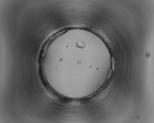 X0000097910252200804041507