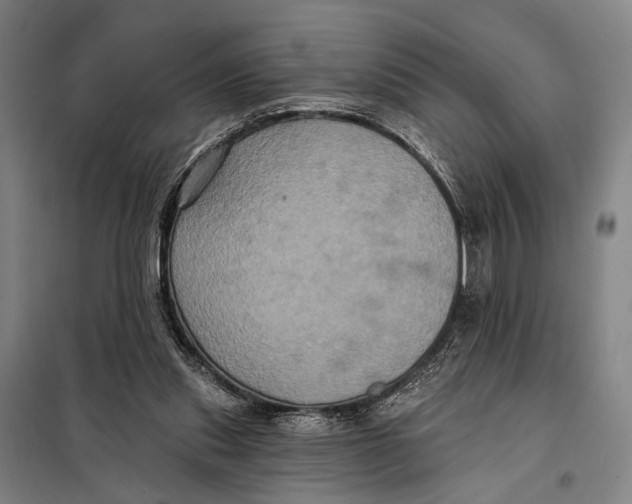 X0000097910253200804041507