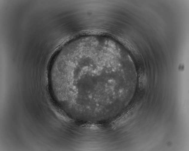 X0000097910254200804041507