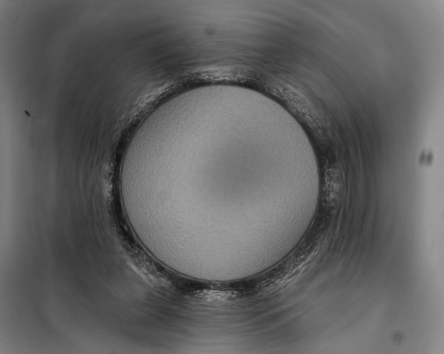 X0000097910255200804041507