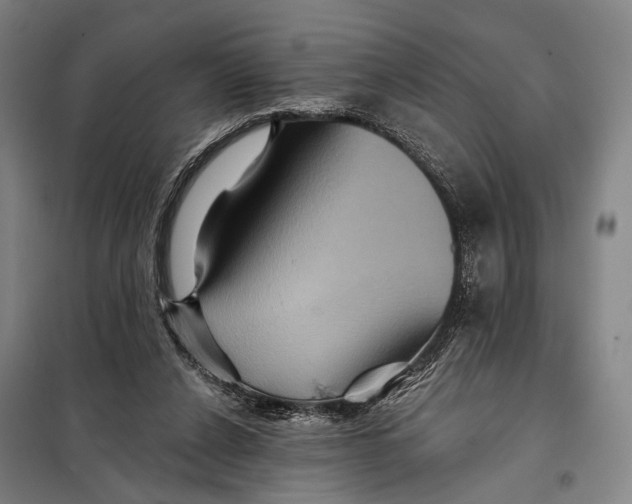 X0000097910256200804041507