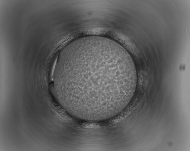 X0000097910258200804041507