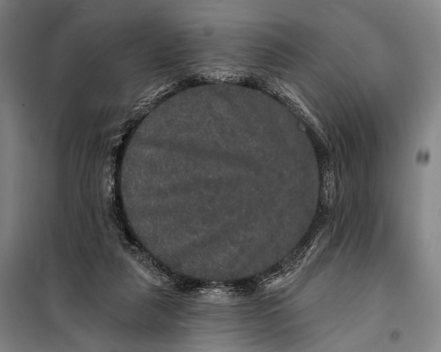 X0000097910259200804041507