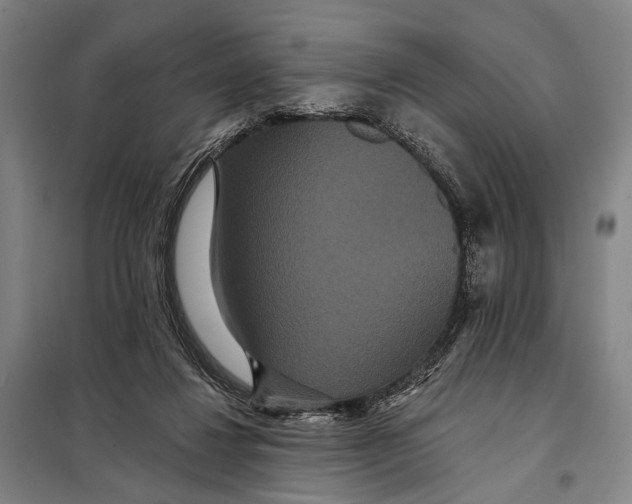 X0000097910260200804041507