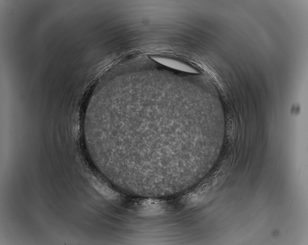 X0000097910261200804041507