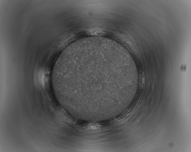 X0000097910263200804041508