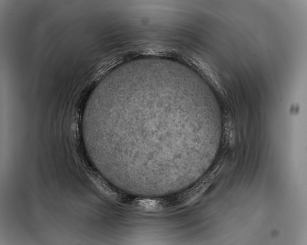 X0000097910265200804041508