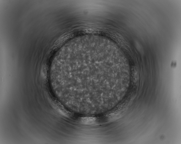 X0000097910266200804041508