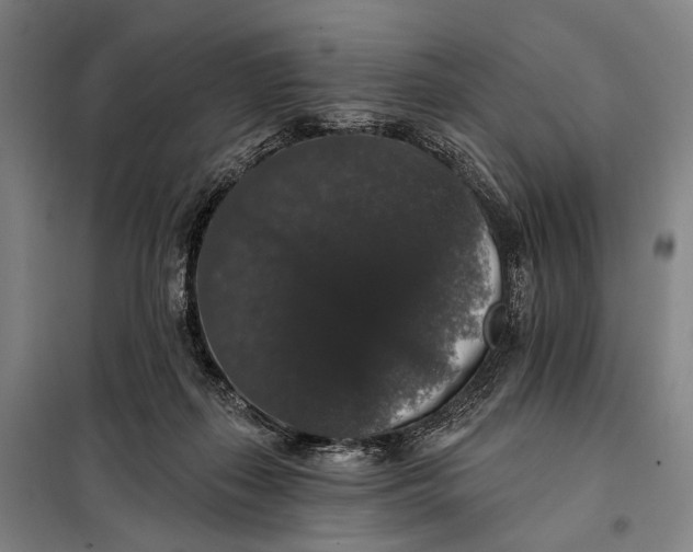 X0000097910267200804041508