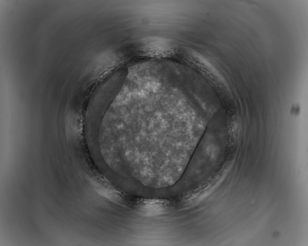 X0000097910268200804041508