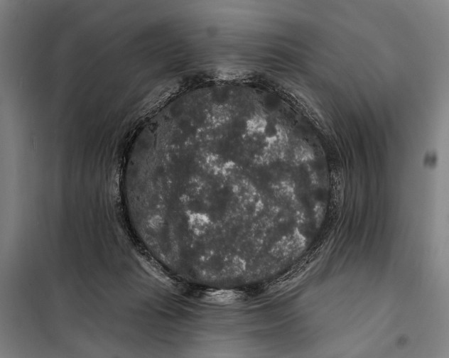 X0000097910269200804041508