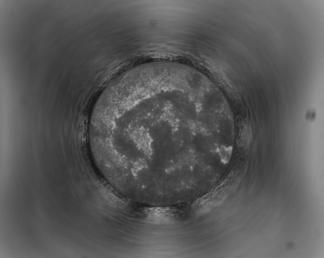 X0000097910273200804041508