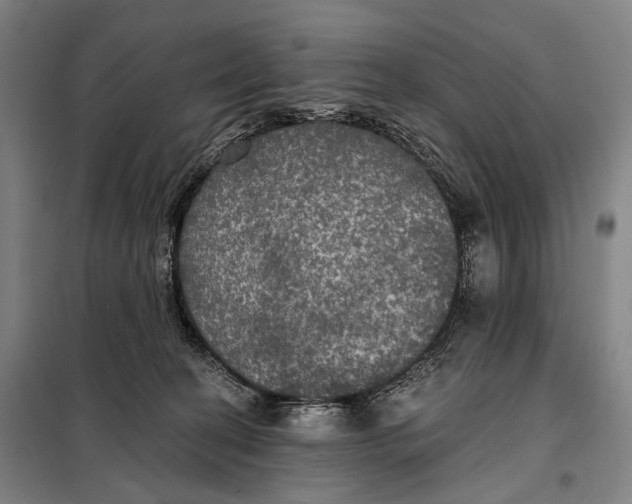 X0000097910274200804041508