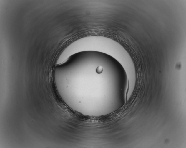 X0000097910276200804041508