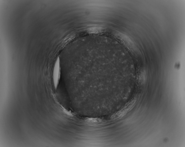 X0000097910277200804041508