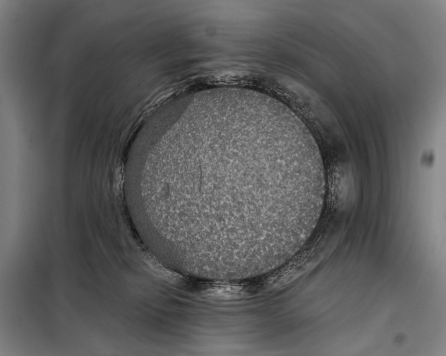 X0000097910278200804041508