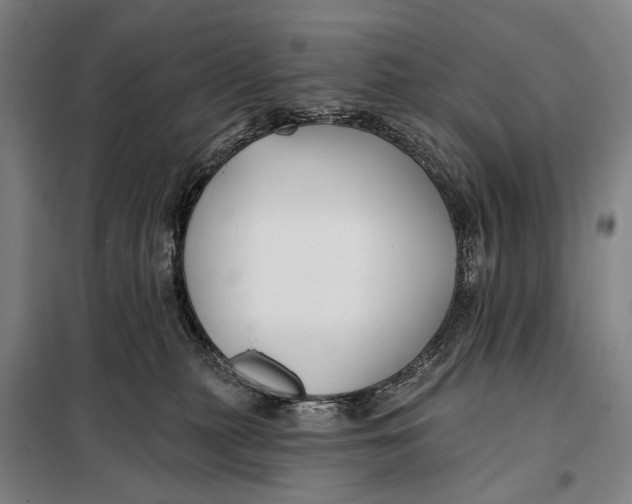 X0000097910279200804041508