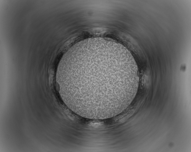 X0000097910283200804041508