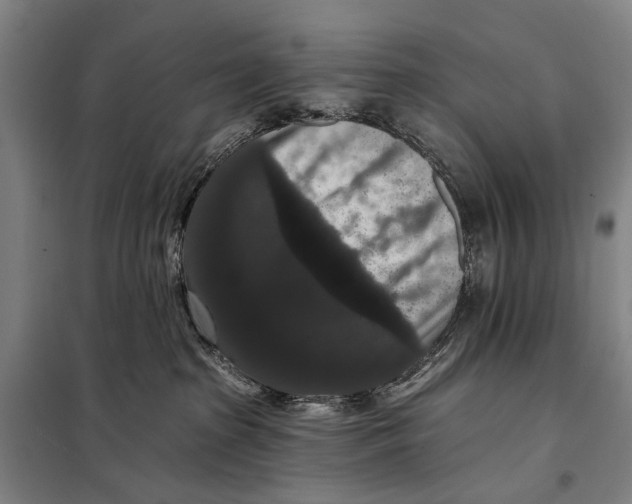 X0000097910285200804041508