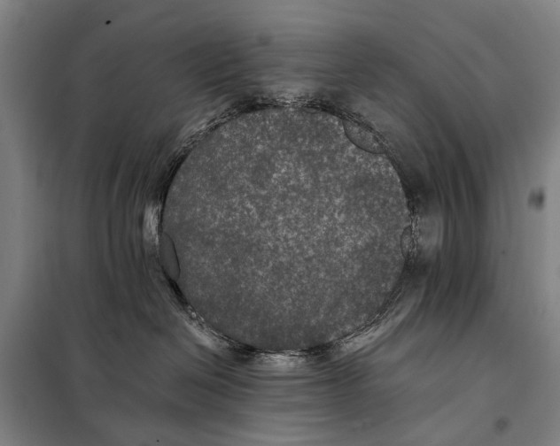 X0000097910286200804041508