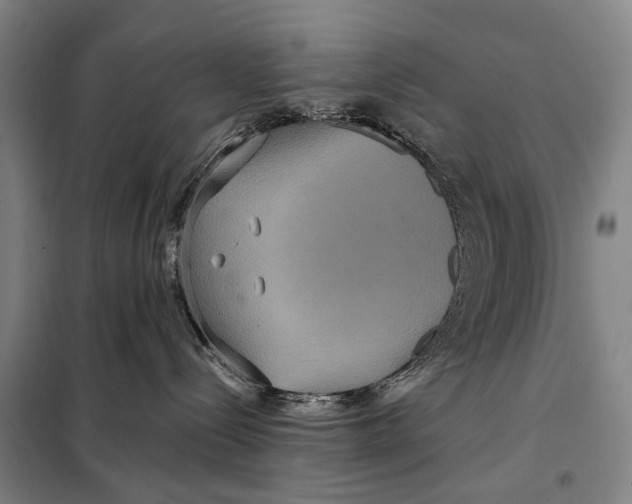 X0000097910288200804041508