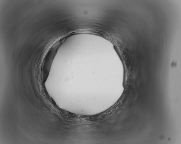 X0000097910289200804041507