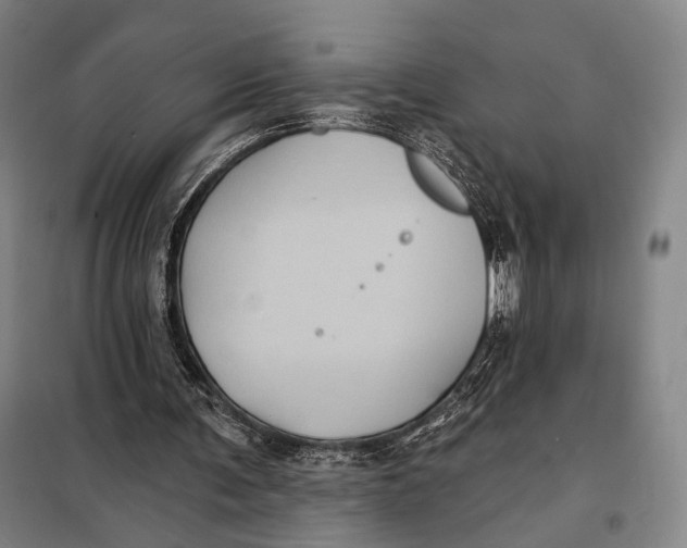 X0000097910291200804041507