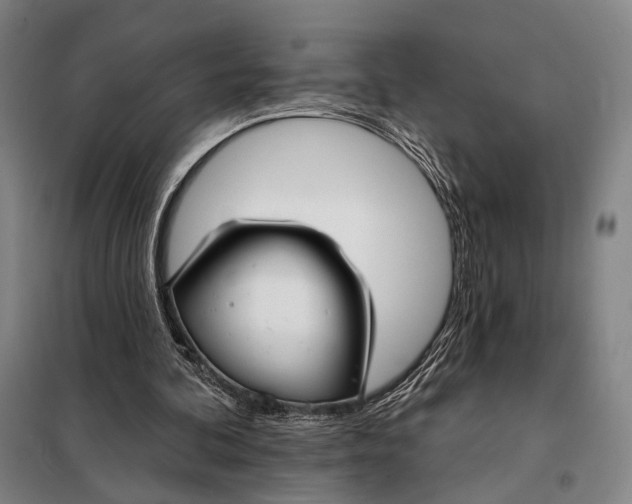 X0000097910292200804041507