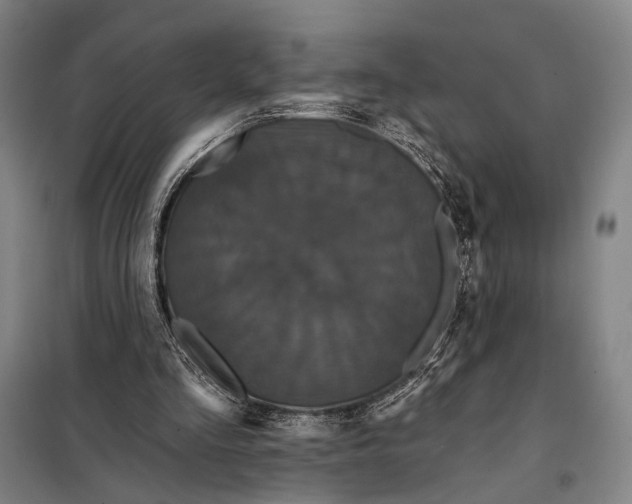 X0000097910293200804041507