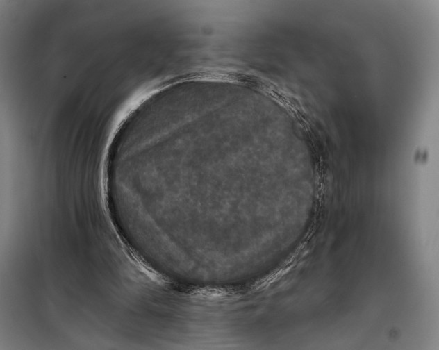 X0000097910294200804041507